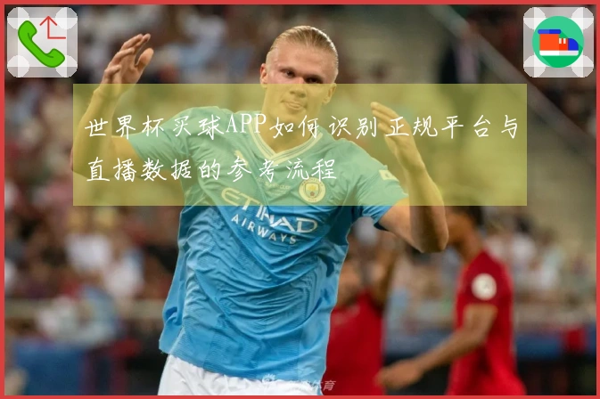 世界杯买球APP如何识别正规平台与直播数据的参考流程