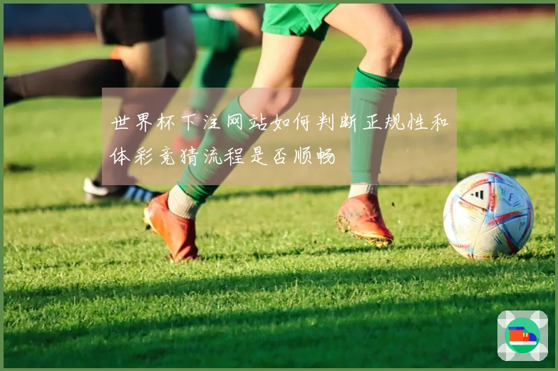 世界杯下注网站如何判断正规性和体彩竞猜流程是否顺畅